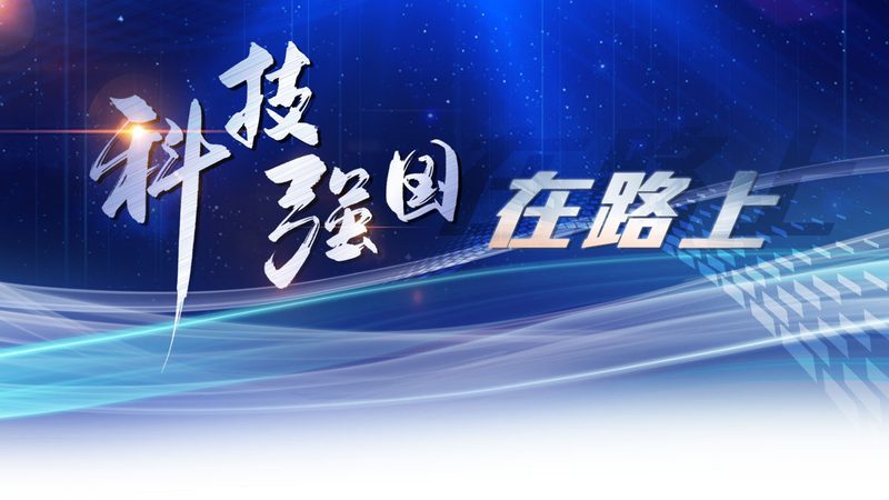 数据中台指标体系：构建高效数据管理的基石
